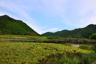 20120909_blog_03.JPG