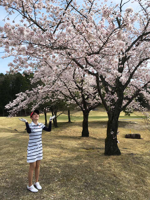 ゴルフと桜.png