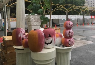 かぼちゃと雨.jpg