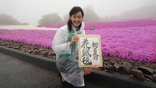 茶臼山高原芝桜、霧のベール・・.jpg