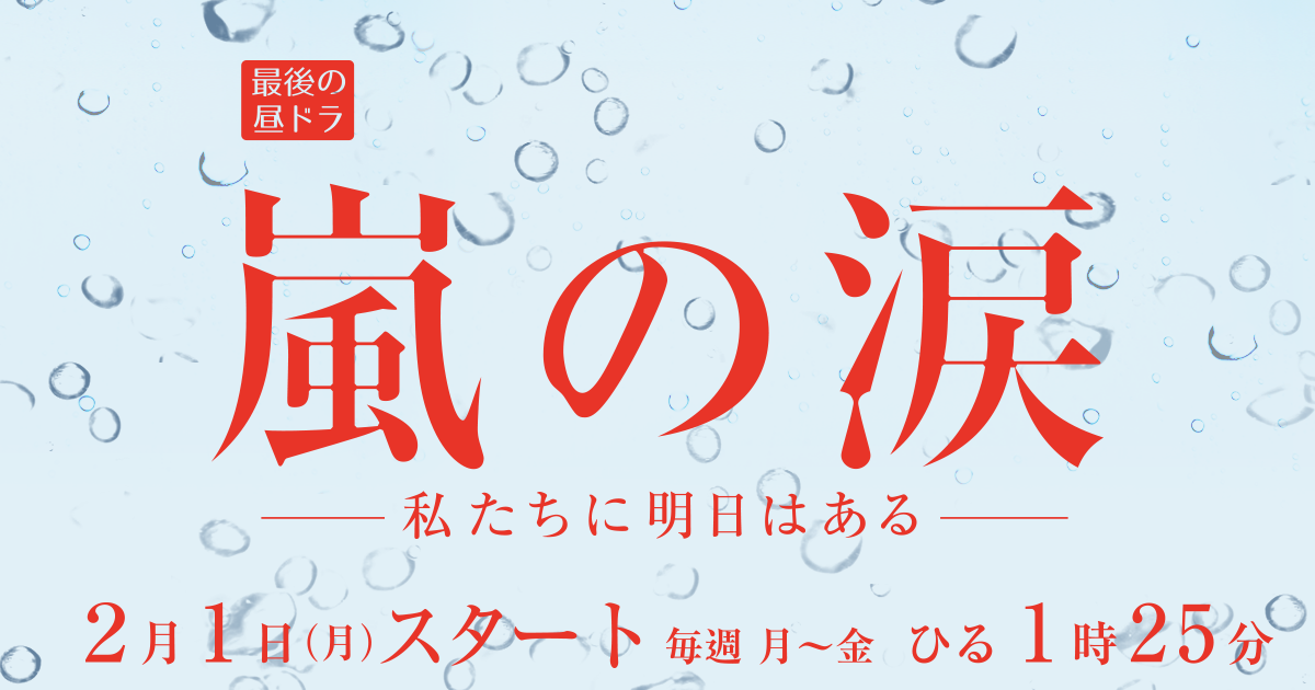 最後の昼ドラは祭り 会見リポート トピックス 嵐の涙 私たちに明日はある 東海テレビ