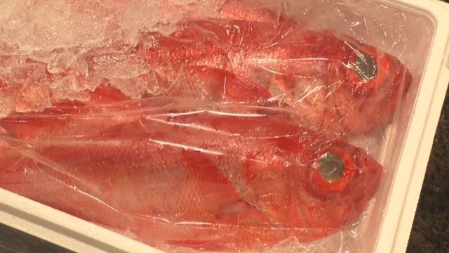 特集  仕入れた魚を売り切るから安いu2026海鮮の居酒屋がコロナ禍きっかけ 