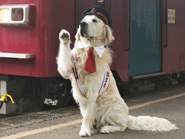 写真ギャラリー 沢山の笑顔を 犬の駅長 天国へ 献花台に多くの花やメッセージ 飼い主 天国でびっくりしてると思う