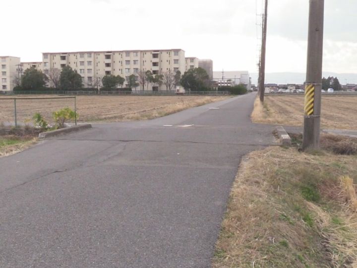 見通しがいい田んぼの中の十字路で車2台が激突するなんとか現象 何回聞いても覚えられない が発生する [399583221]