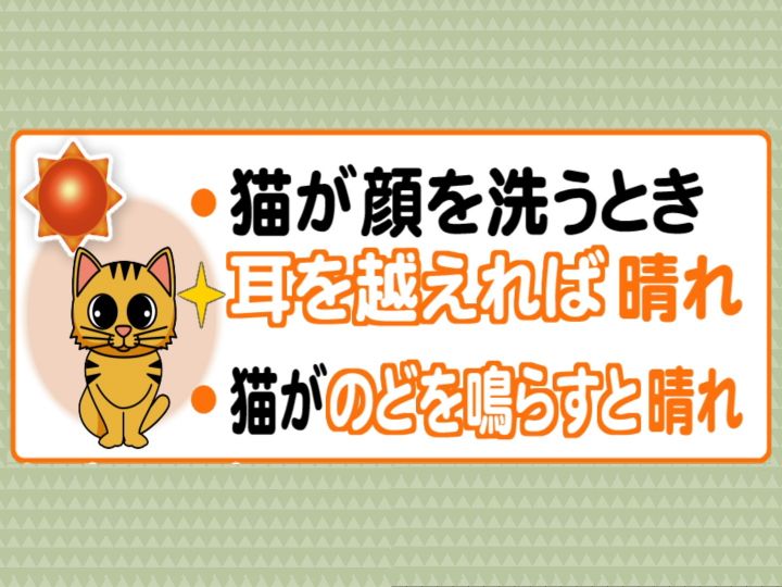 2が6つも揃う スーパー猫の日 天気にまつわる 猫のことわざ も意外とスーパー 猫が喉を鳴らすと 東海テレビnews