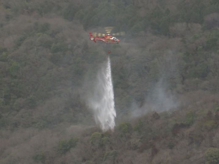 マカオ フェリー 何分前