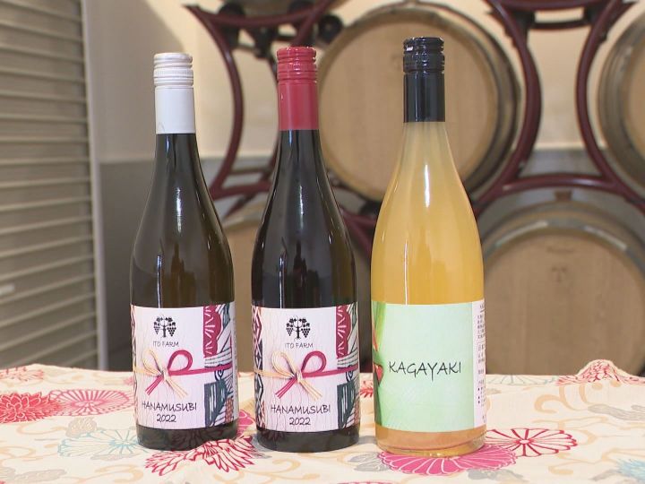少量の醸造が可能に…「ワイン特区」の認定受けた愛知県岡崎市に