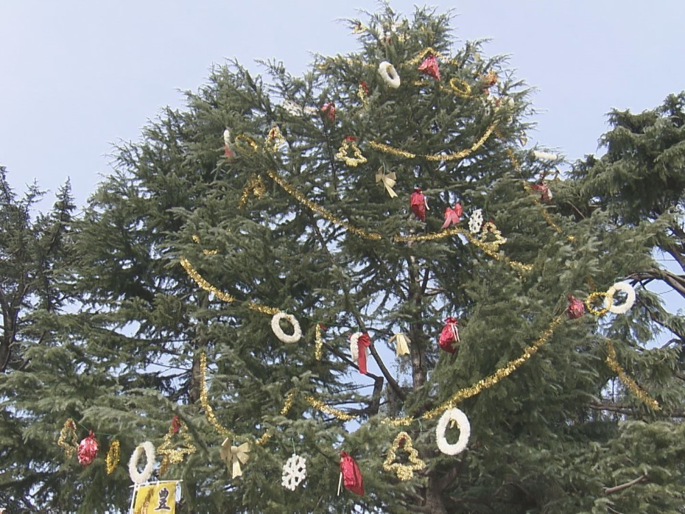 夜には約100個のランタンが 名古屋 鶴舞公園でクリスマスイベント アーティストによる歌やダンスも 東海テレビnews