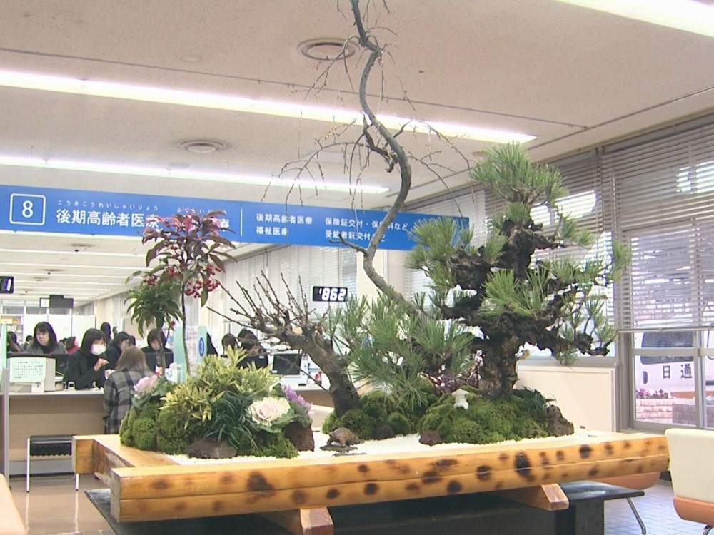 枝ぶり良い黒松など 高校生が作った 迎春用の寄せ植え 市役所ロビーに設置 愛知 安城市 東海テレビnews